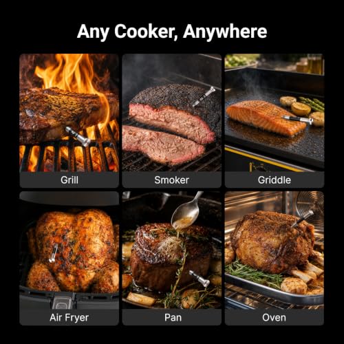 3000FT Wireless Meat Thermometer
