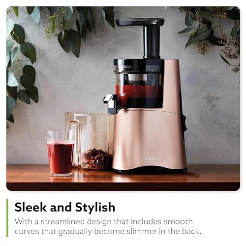 H AA Cold Press Juicer Machine (Matte Black)