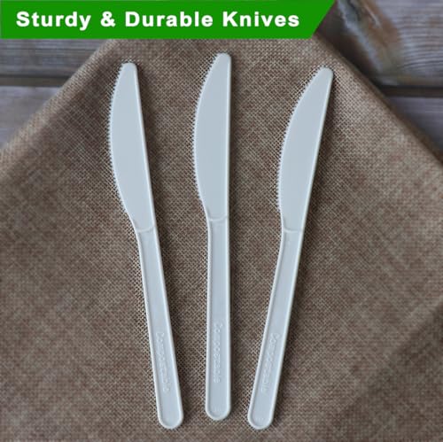 Compostable Knives (100 Count (Pack of 1) / Knives)