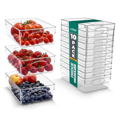 Fridge Organizers and Storage (Large / 10 Pack)