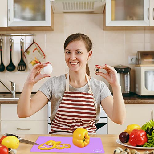 Flexible Plastic Cutting Board Set of 3 Gradient Color (Purple)