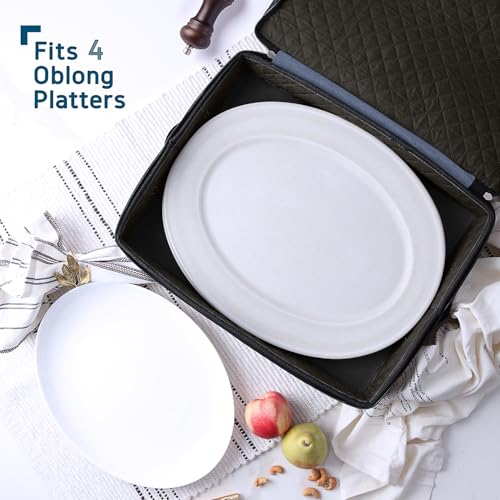 Platter Storage Cases