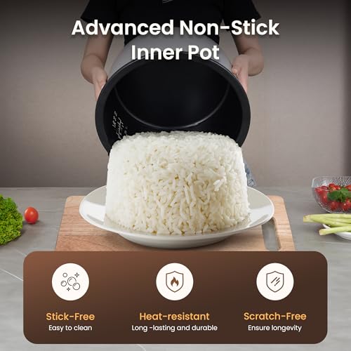 Commercial Rice Cooker and Warmer