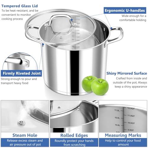 12 QT Stainless Steel Stock Pot with Lid (12 Quarts)