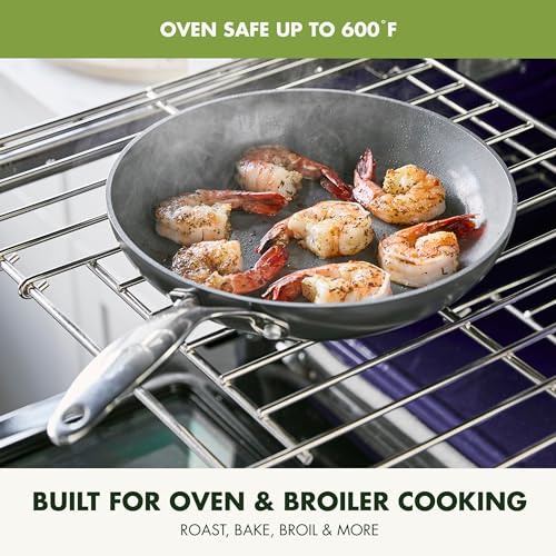 Valencia Pro 2 Piece (8" & 10" Frying Pan Skillet Set / Gray)