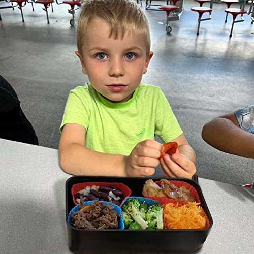 40 Pcs Silicone Lunch Box Dividers (‎Multicolor-40pcs)