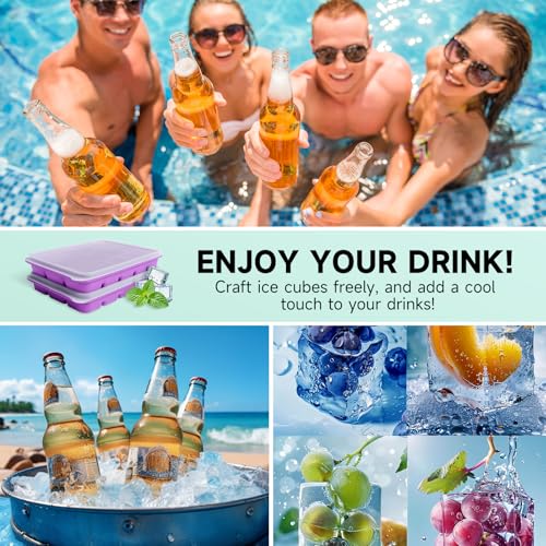 Ice Cube Trays Set of 2 (Purple)