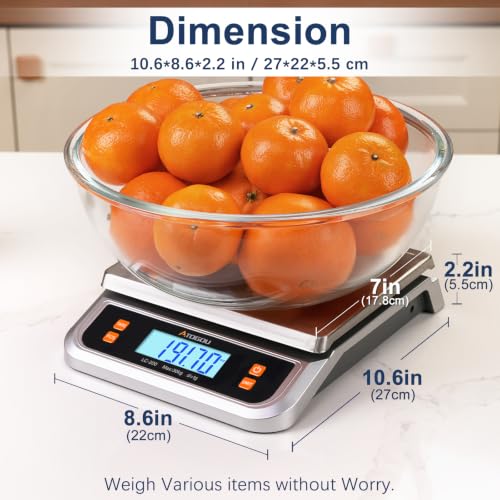 66lb Food Scale (Silver 66 lb (30 kg))