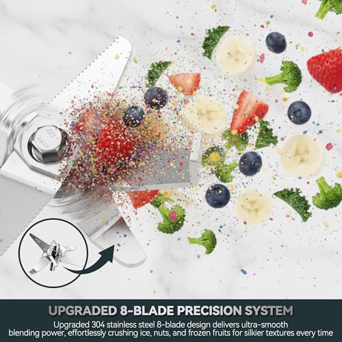 1500W Professional Glass Blender for Kitchen (Stainless Steel Silver)