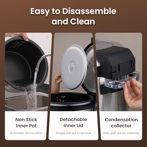 Commercial Rice Cooker and Warmer