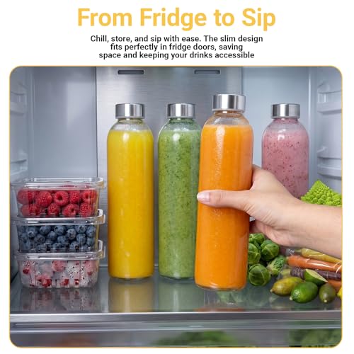24 oz Glass Water Bottles with Lids (Clear Glass Bottle 6 Pack / 24 Ounces)