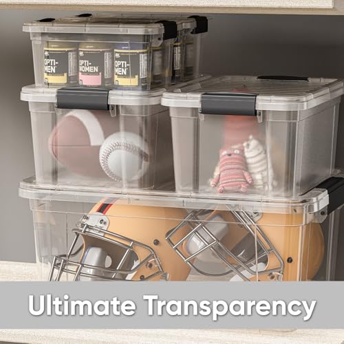 2.3 Quart Clear Plastic Storage Containers with Lids (2.3 Quart)