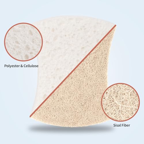 Natural Dish Sponge 48 Pack (Brown/White / 48 Pack)