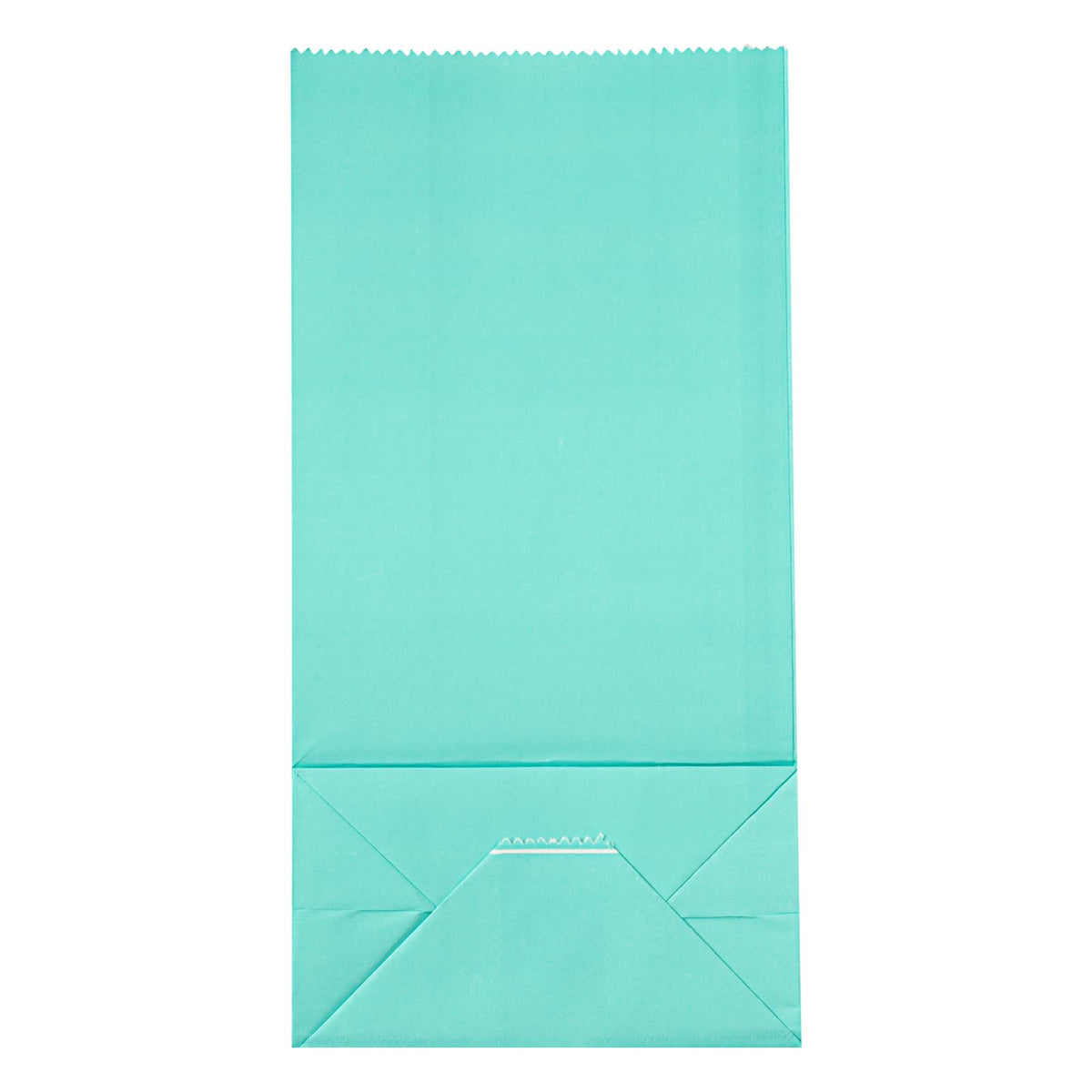 Turquoise Paper Bag (2 lb / Turquoise)