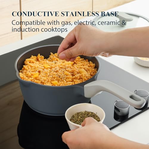 Nonstick Saucepan Set with Lids (2 + 2.7 Quarts / Gray)