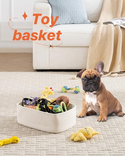 Small Woven Storage Basket for Organizing (Off White / 13.5"L x 9.5"W x 5"H)