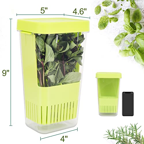 Herb Keeper BPA (Herb Keeper - Green)