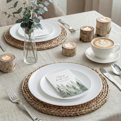 60PCS White Disposable Plates (White / 60)