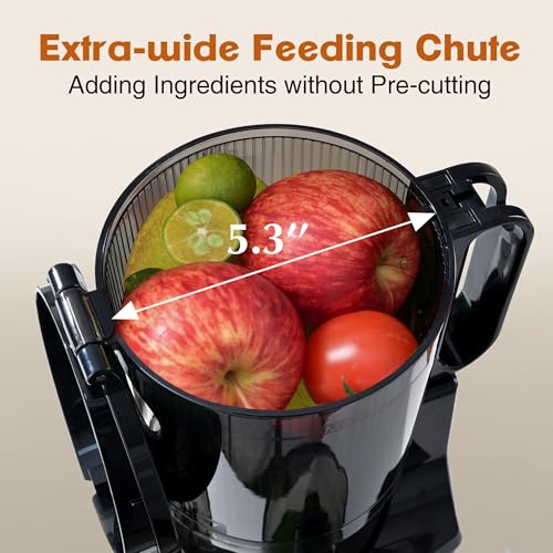 Cold Press Juicer (Silver)