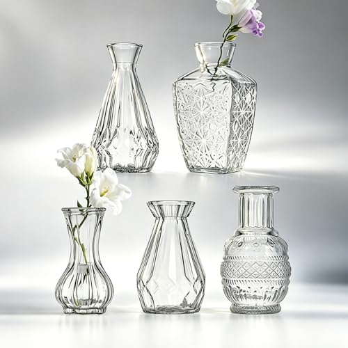 Glass Bud Vase Set of 5 Pcs Small Minimalist Vases for Flowers (Clear)