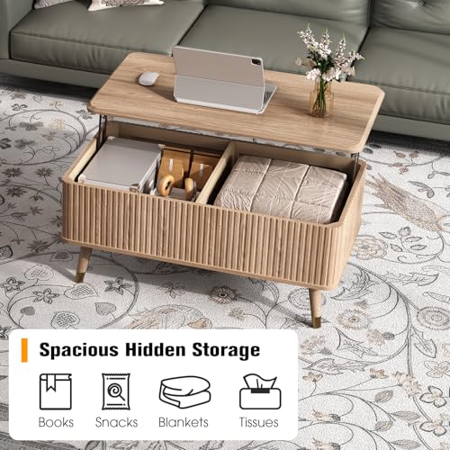 Lift Top Coffee Table with Storage for Living Room (Natural Oak)