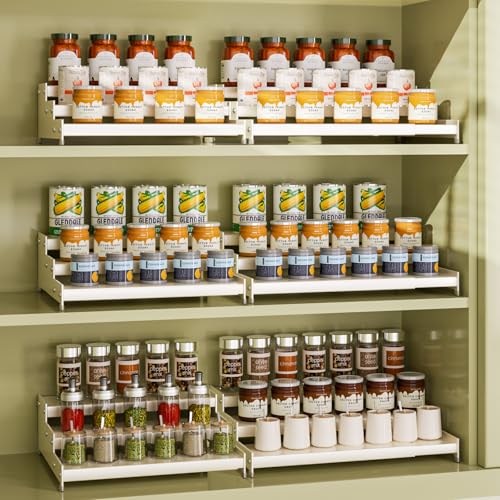 Expandable Carbon Steel Spice Rack Organizer for Pantry