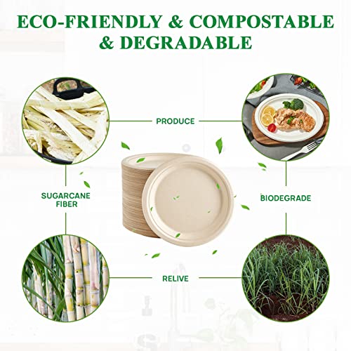 200 Pack Compostable Bagasse Paper Plates 6.9 inch (1 Compartment 7 inch Nature)
