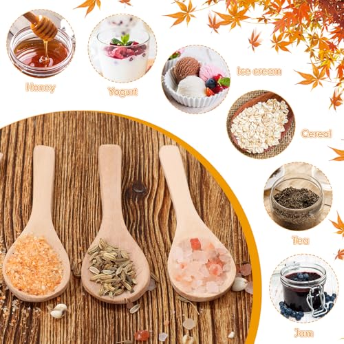 100 Pcs Small Wooden Spoons (100 Count)