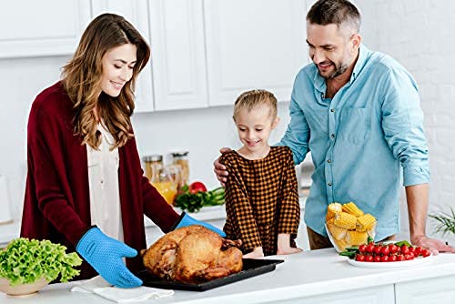 XL Silicone Smoker Oven Gloves (Blue / X-Large)