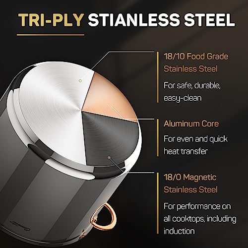 Stock Pot 20 Quart (Stock Pot / 20 Quarts)