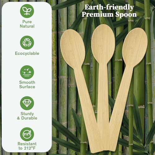 300 Count Disposable Compostable Bamboo Spoons for Party (spoons)