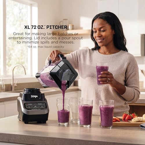 Professional Blender (Black/Gray)