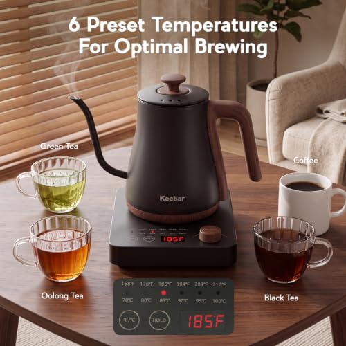Gooseneck Electric Kettle (Black)