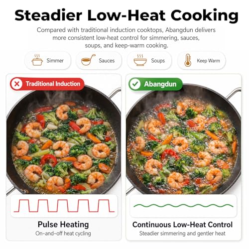 1700W Concave Induction Wok Burner (Cooktop with Nitrided Carbon Steel Wok)
