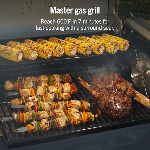 FlexFlame Grill & Smoker (Blue)