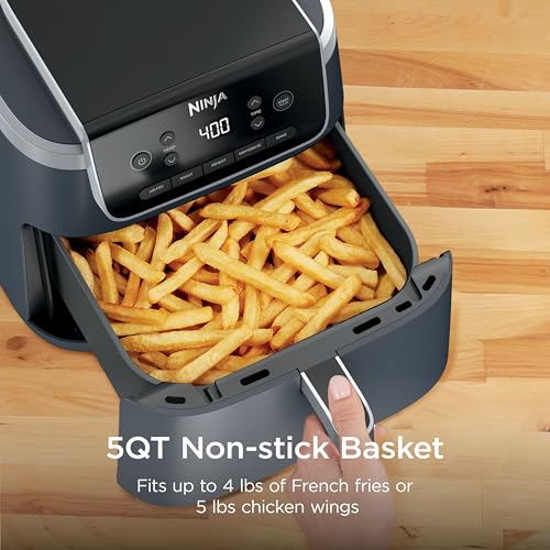 Air Fryer Pro (Cyberspace)