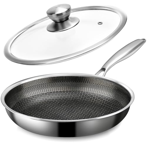11" Stainless Steel Frying Pan with Lid (11 Inch)