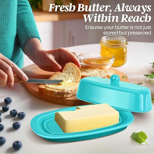 Standard Ceramic Butter Dish with Lid for Countertop (Blue / Standard)