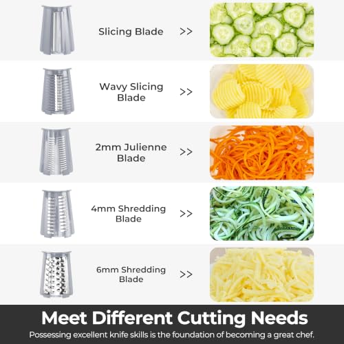 Rotary Cheese Grater 5 Blades (Gray)