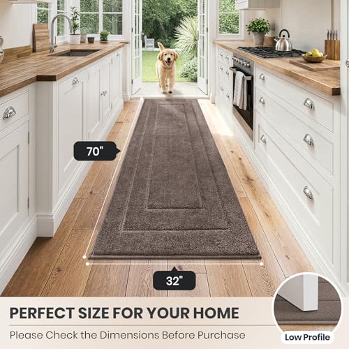 Hallway Runner Rug (Grayish Brown / 2'8" x 5'10" (Runner))