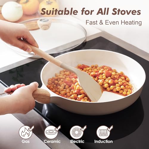 8inch Ceramic Nonstick Frying Pan Paella Pan with Lid (8 Inch / TAFFEE Taupe)