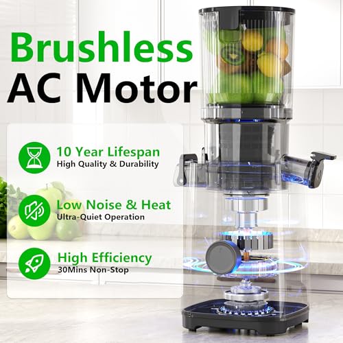 Cold Press Juicer Machines (Grey)