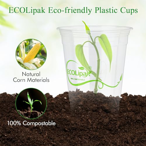 1000 Count 16 OZ Clear Compostable Plastic Cups for Restaurant (16oz-clear)