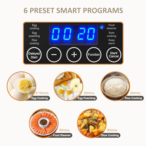 2 Tiers Electric Food Steamer for Cooking