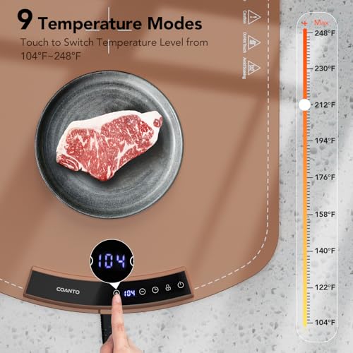 Food Warming Mat (Brown)