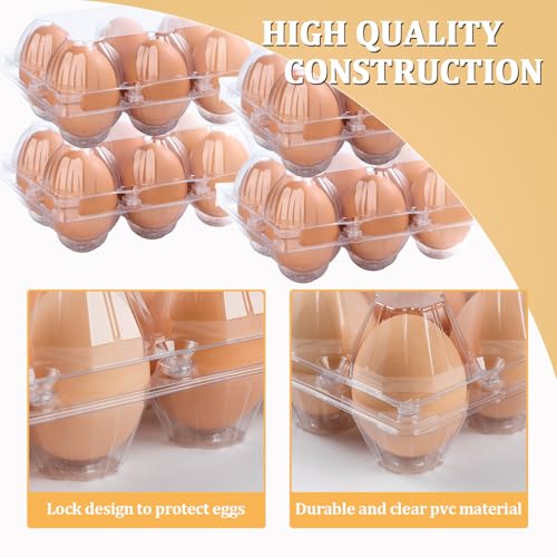 200PCS Plastic Egg Cartons 6 Count (200 Count)