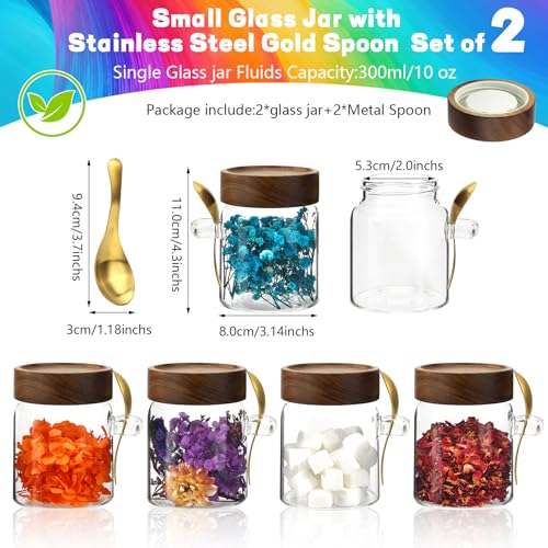 10 oz Glass Jars Set of 2 (10oz/300ml-2 pack-with spoon)
