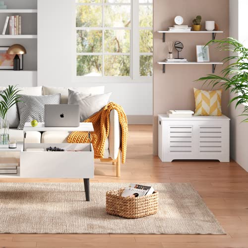 Long Wall Shelves (White / 31.5 Inch)