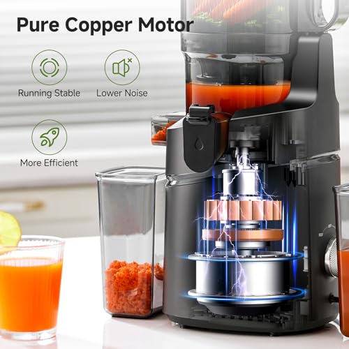 Cold Press Juicer (Black / 5.8")
