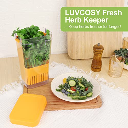 Herb Keeper Set (Herb Keeper Set/Green&Blue&Orange)